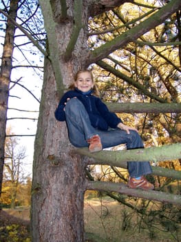 On the branch...