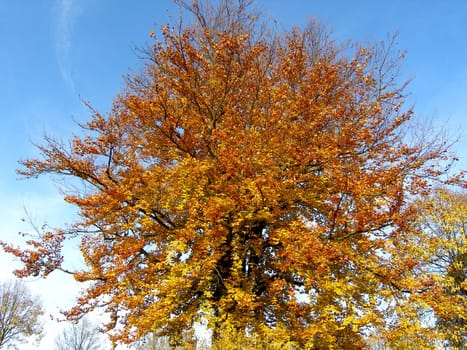 Autumn is coming