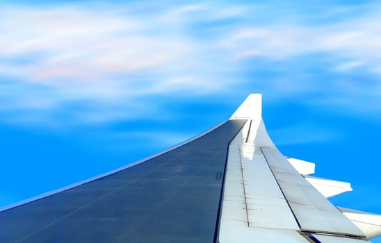 Wing