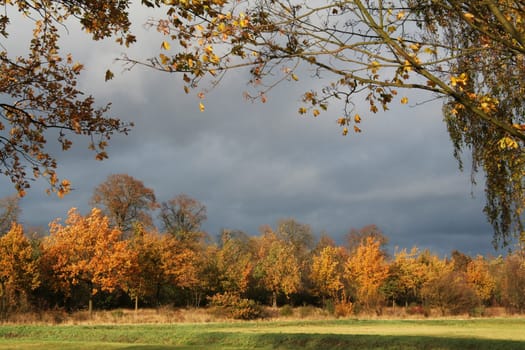 Autumn Window