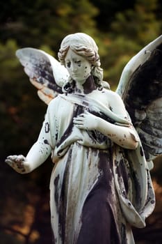 Angel statue in an old cemetery