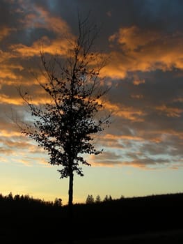 A new autumn day begins