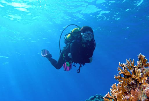 At the fire corals