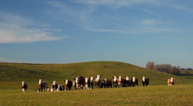 Behind the Hill