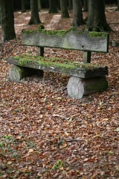 Mossy bench in an autumnal forest