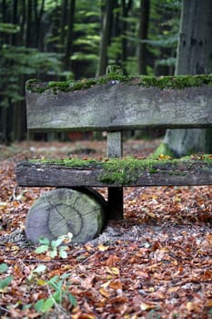 Mossy bench in an autumnal forest