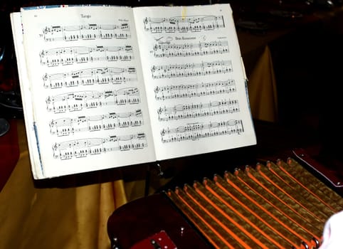Musician