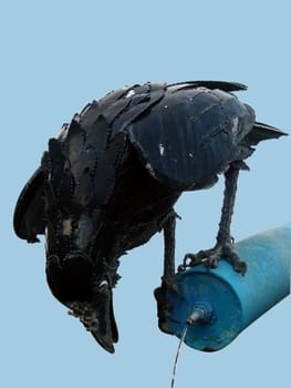 Thirsty raven