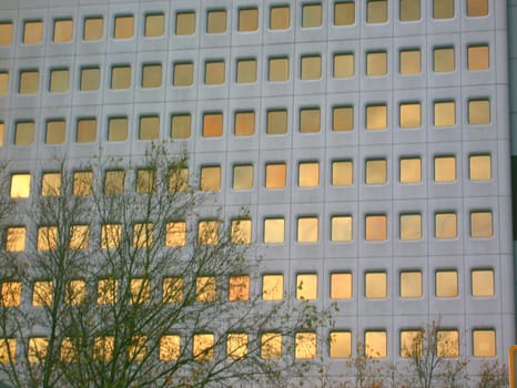 Sun windows