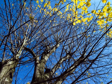 Autumn - Impressions - 2
