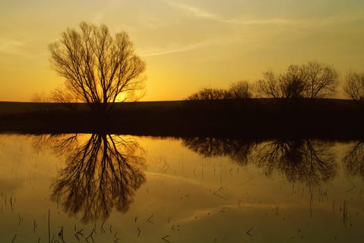 Just a little greeting from Mecklenburg/Vorpommern and I wish you all a nice day.......!