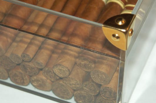 Humidor