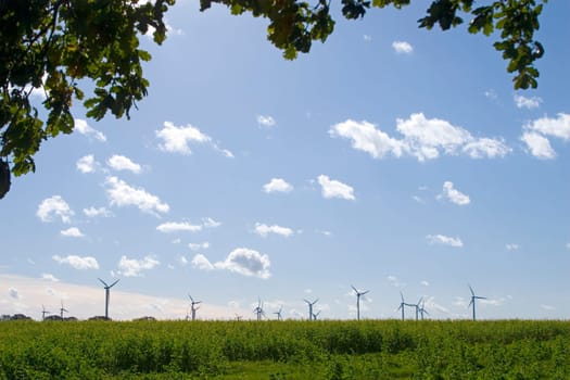 Wind farm