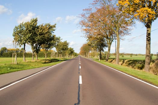 Countryside avenue