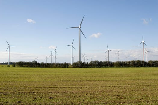 Rotors in the field