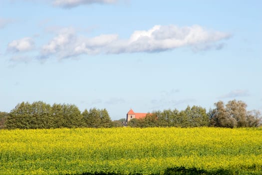 Country Church