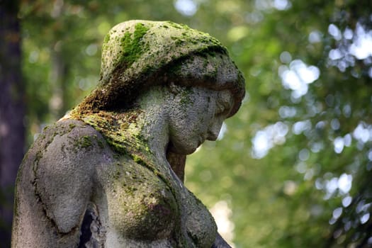 In an old cemetery