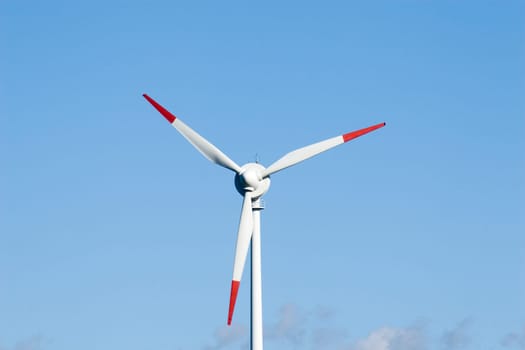 Single rotor