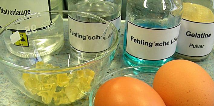 Detection of nutrients in food in chemistry lessons