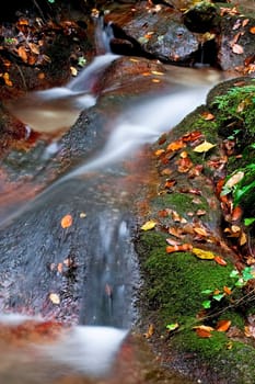 Stream