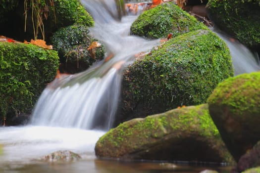 The sound of the brook