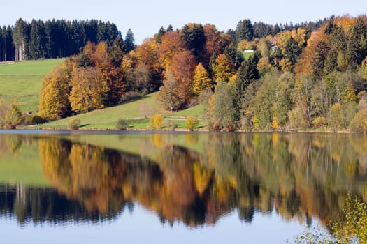 Autumnal reflection