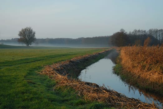 I wish you all,when the fog has cleared,a wonderful,sunny weekend....!