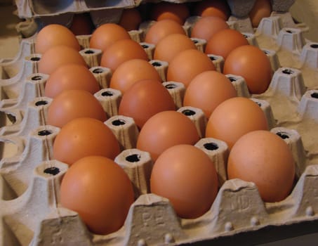 fresh eggs