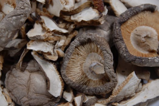 Dried mushrooms