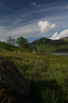 Picnic