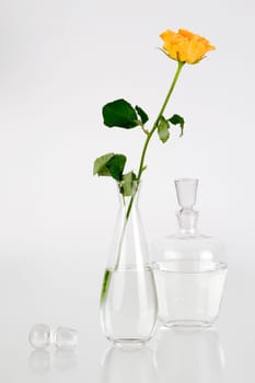 Glass with rose