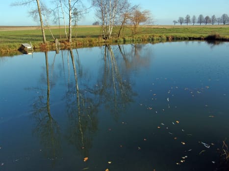 Pond
