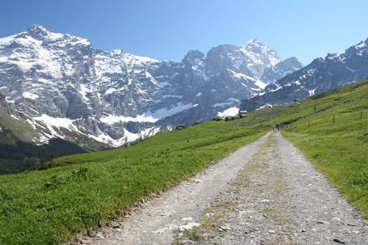 on the Bergenweg