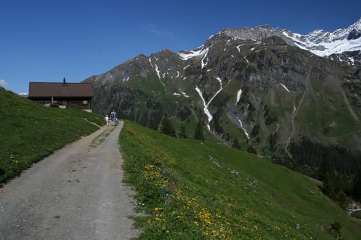 Alpine Trail
