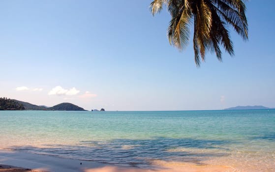 Life is a beach