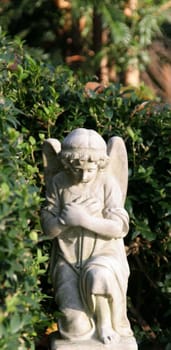 This angel is said to be a deceased child on his journey into "a life after"".... accompany... I found a text on the Internet that describes this: ""At the time of passing over,our spiritual guides,'guardian angels,' become"