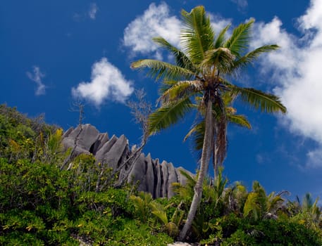 The approximately 92 granite and coral islands have an incomparable intact tropical natural and plant world. Magnificent primeval forests full of rare plants,animal and bird species,secluded beautiful beaches with fine white sand and bizarre granite