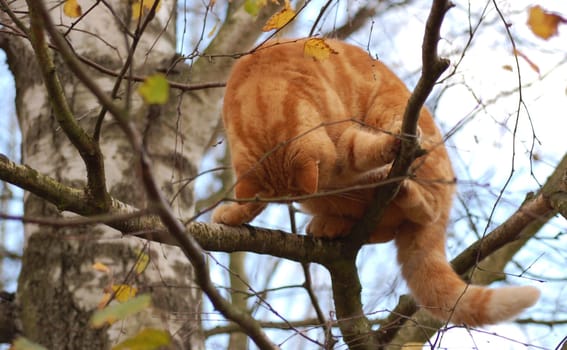 What's going on down there?
