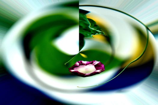 Flower plate