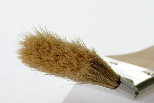 Paintbrush