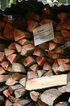 Woodpile
