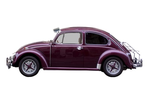 Noble Beetle