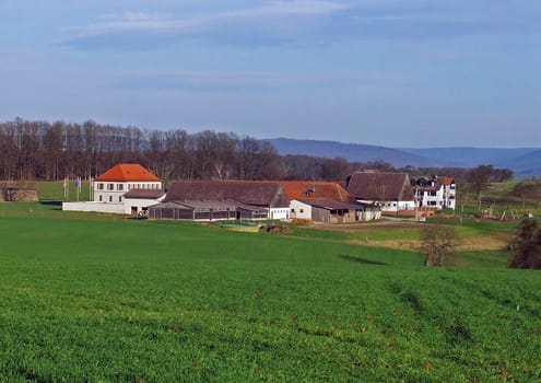 Roßhof in Großheubach