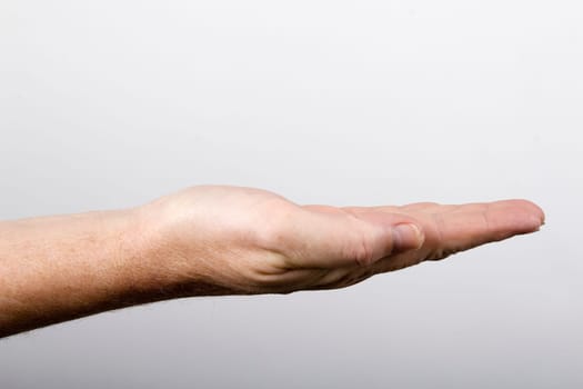 Hold up your hand