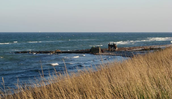 Anglers on the Baltic Sea