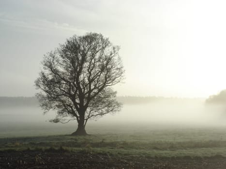 All alone...