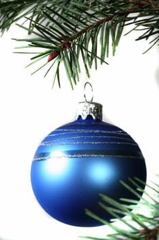 At the Christmas tree