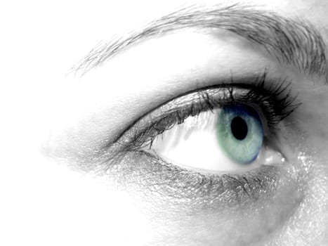 Eye