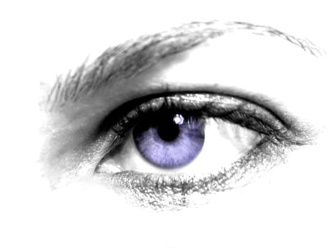 Look