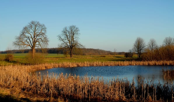 In the morning I like to enjoy the peace and quiet at our pond,but it was very windy that day.....!